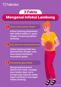 Fakta Menarik Tentang Gulai Yang Jarang Dibahas Lebih Dari Sekadar Kari Biasa