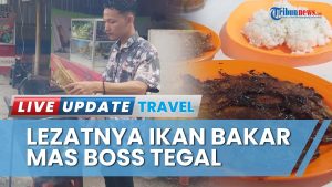 Menguak Kelezatan Asli Pengalaman Menikmati Ikan Bakar Ala Kaki Lima Yang Tak Terlupakan