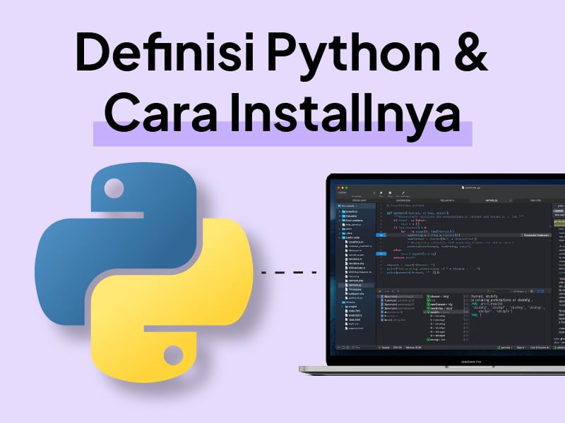 Mengungkap Apa Itu Python Data Dan Bagaimana Cara Kerjanya Panduan Lengkap Untuk Pemula